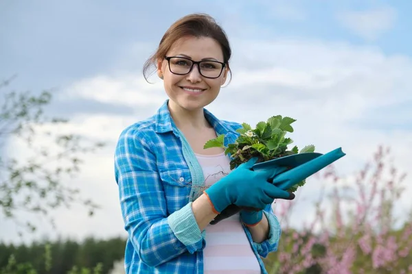 Portrait of mddle-aged woman in garden with tools, strawberry bushes — Stok Foto