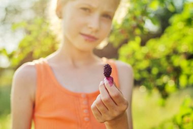 Olgun Mulberrie Berrie küçük bir kızın elinde