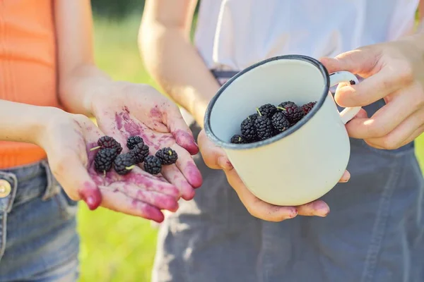 Children with crop of berries in mug, mulberry tree in summer garden — Stockfoto