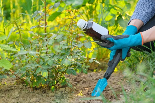 Spring work in the garden, bottle of chemical fertilizer — Φωτογραφία Αρχείου