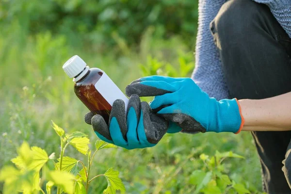 Musim semi bekerja di kebun, botol pupuk kimia, fungisida di tangan — Stok Foto