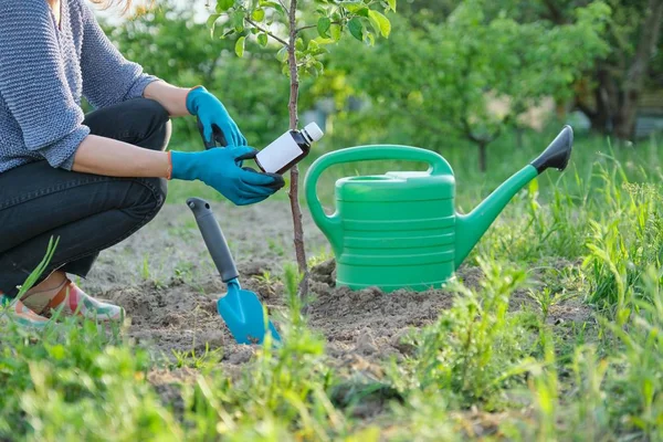 Trabajos de primavera en el jardín, botella de fertilizante químico, fungicida en la mano — Foto de Stock