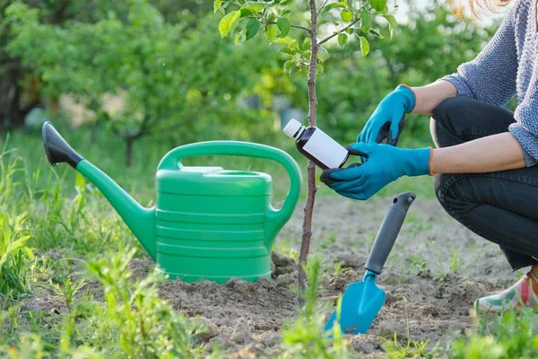 Ανοιξιάτικες εργασίες στον κήπο, μπουκάλι χημικό λίπασμα, μυκητοκτόνο στο χέρι — Φωτογραφία Αρχείου
