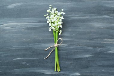 Bahar çiçekleri vadideki zambaklar gri renkli arka planda