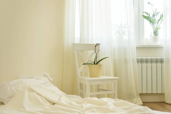 Luz interior do quarto pastel, cama, cadeira branca, janela, cortinas de luz . — Fotografia de Stock