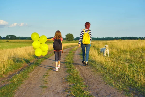 Дети две девушки, идущие по проселочной дороге с собакой и воздушным шаром, вид сзади — стоковое фото