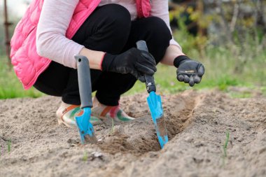 Bahar mevsimi mevsimlik iş, ekilmiş kabak tohumu toprağı ekme