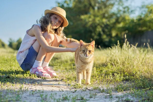 Röd katt tittar på kameran, flicka barn röra katt på solig sommardag — Stockfoto