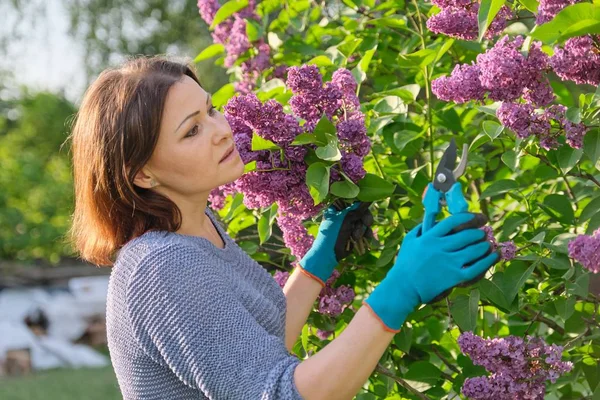 Vrouwelijke tuinier in handschoenen met snoeischaar snijden lila takken — Stockfoto