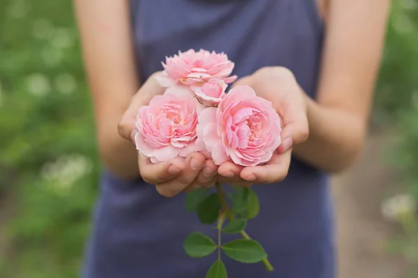 ピンクのバラの花を持っている女の子の手 — ストック写真