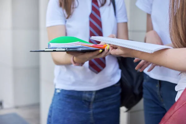 Uzavřete skupinu studentů. Venku dívka s knihami, notebooky — Stock fotografie