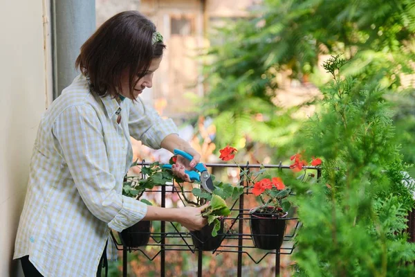 Vrouw die zorgt voor thuis potplanten. Vrouw met snoeischaar bij bloemen — Stockfoto