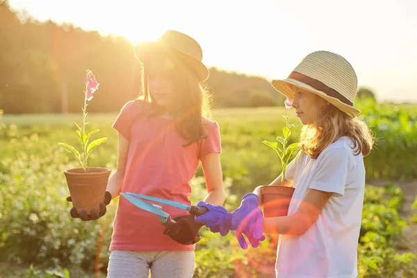 Portrait of two little gardeners in gloves with flowering plants in pots and garden shovels — Stockfoto