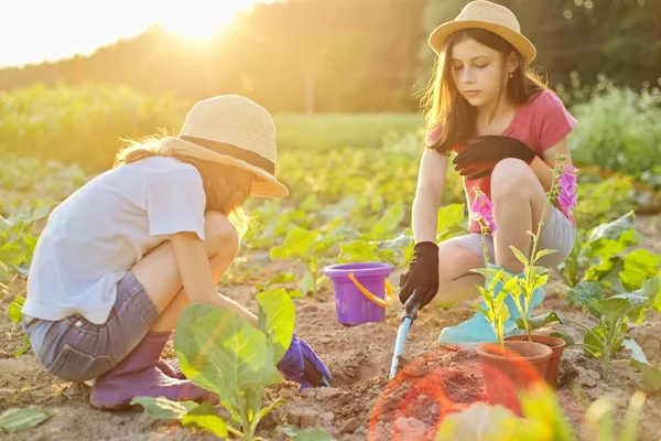 Děti dvě dívky s květinami v květináčích, rukavice se zahradním nářadím, sazenice — Stock fotografie