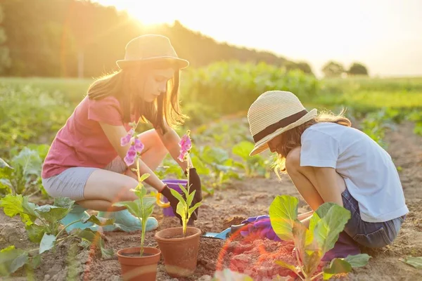 Děti dvě krásné dívky s květinami v květináčích, rukavice se zahradním nářadím, sazenice — Stock fotografie