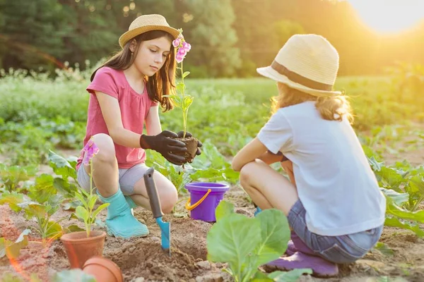 Děti dívky výsadba květináč rostlina v zemi — Stock fotografie