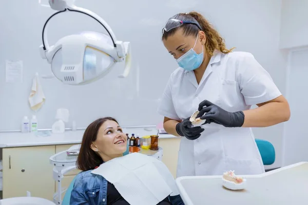 Protheses en tandheelkundige behandeling, model van de kaak in de handen van een tandarts — Stockfoto