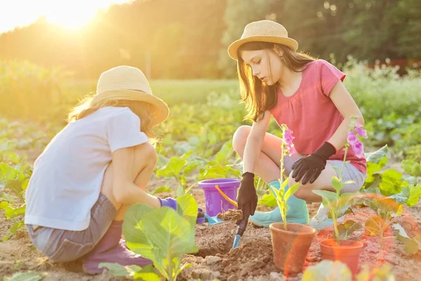 Děti dívky výsadba květináč rostlina v zemi — Stock fotografie