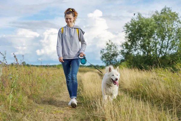 Beyaz köpekli güzel kız, iri yarı evcil hayvanla yürüyen genç kız.