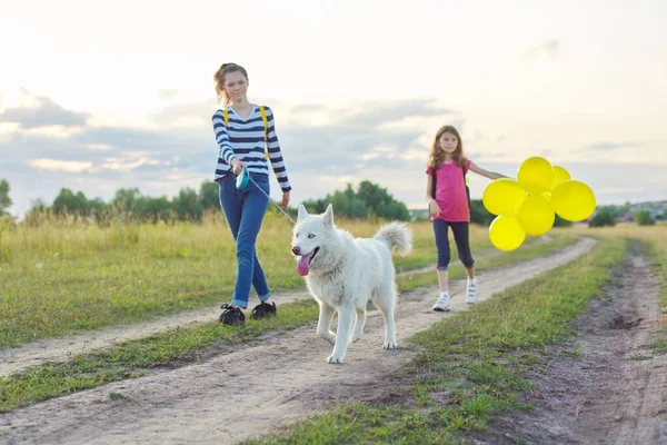 Enfants filles avec animal de compagnie sur la route de campagne le jour ensoleillé d'été — Photo