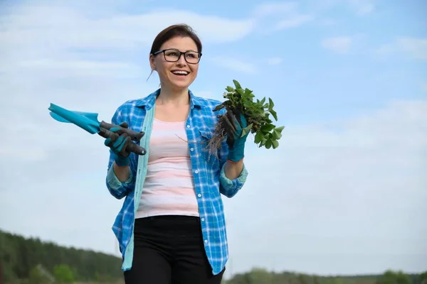 Portrait of middle-aged woman in garden with tools, strawberry bushes Royalty Free Stock Images