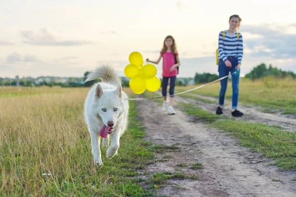 Barn flickor med husdjur på landet väg på solig sommardag — Stockfoto