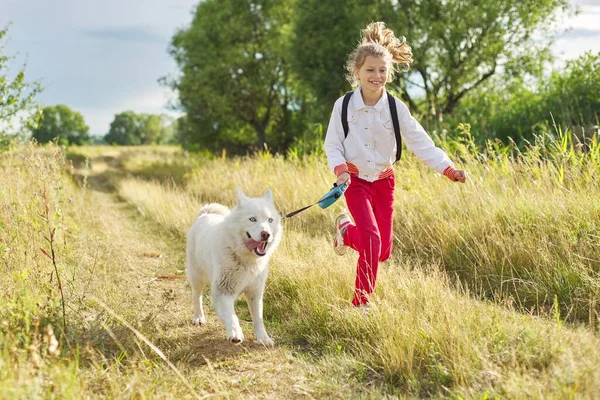 Lille pige barn kører med hvid hund på eng - Stock-foto