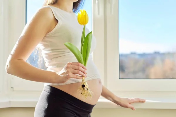 Portrait of pregnant woman with one yellow tulip flower — Stok fotoğraf