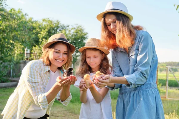 Family, mother and children two daughters holding little newborn chickens in hands — Stock fotografie