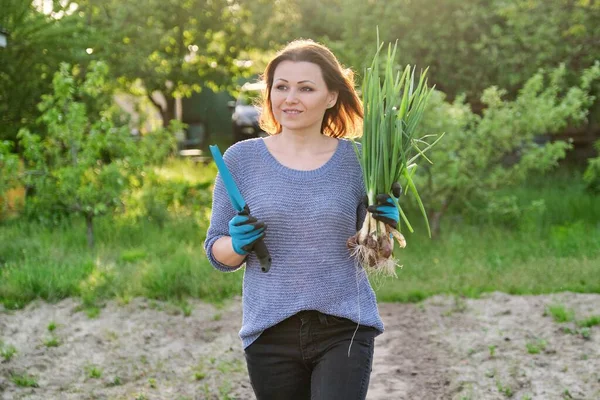 成熟的女农民走过花园与绿色新鲜的洋葱 天然有机健康食品 户外春天 黄金时间 — 图库照片