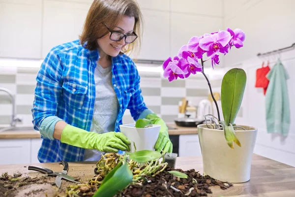 Woman Caring Plant Phalaenopsis Orchid Cutting Roots Changing Soil Background — Stock Photo, Image