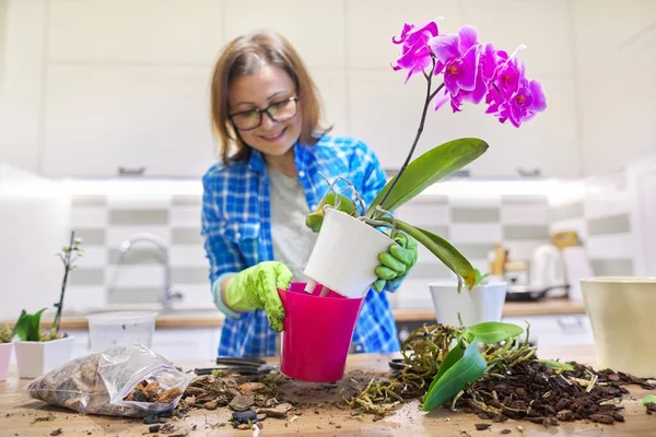 Žena Pečující Rostlinu Phalaenopsis Orchidej Řezání Kořenů Změna Půdy Zázemí — Stock fotografie