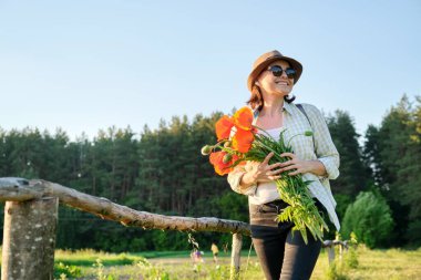 Yaz tatili, doğa gezisi, bir buket gelincik çiçeğiyle kır yolunda yürüyen olgun, güzel bir kadın manzaralı günbatımı arka planı, fotokopi alanı.