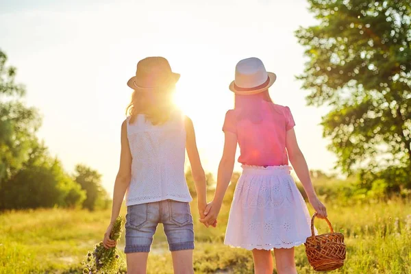 夏の牧草地で手を取り合って歩く2人の女の子 山の花の桜の花束のバスケットを持つ子供たち 日没と バックビュー — ストック写真