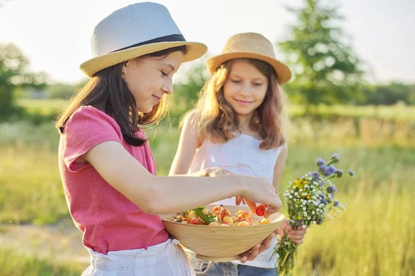 Barn Två Flickor Solig Sommardag Äng Med Skål Med Söta — Stockfoto