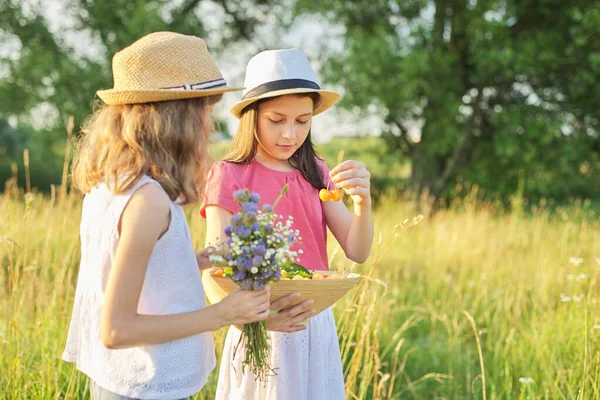 晴れた夏の日に牧草地で2人の女の子 子供たちは 黄色のチェリーの野花バスケットの花束で歩く 健康的なライフスタイルと食べ物 日没の風景の背景 — ストック写真