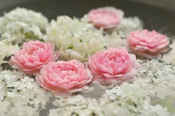 Närbild Rosa Rosor Blommor Och Vit Hortensia Vatten Med Droppar — Stockfoto