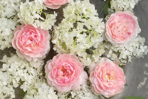 ピンクの白い花の背景 水滴のあるバラとアジサイの花 — ストック写真