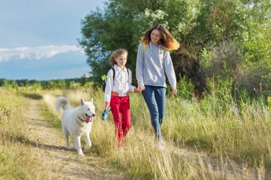 Köpekli kızlar, yaz otlağında beyaz köpekli kız kardeşler.