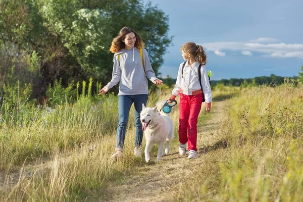 Flickor går med hund, systrar med vit husky husdjur på sommaräng — Stockfoto
