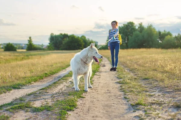 Gros plan chien husky blanc sur la route de campagne, fille marchant avec animal de compagnie — Photo