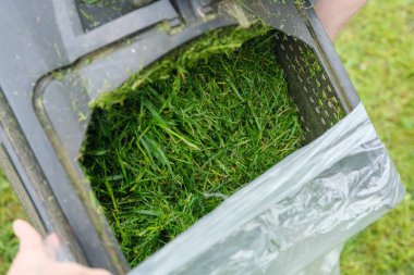 Pakette taze kesilmiş çimenler.