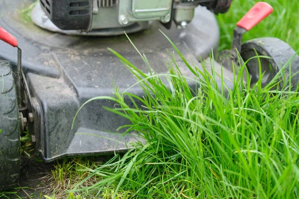 Pemotong rumput bekerja di halaman hijau dengan rumput dipangkas — Stok Foto