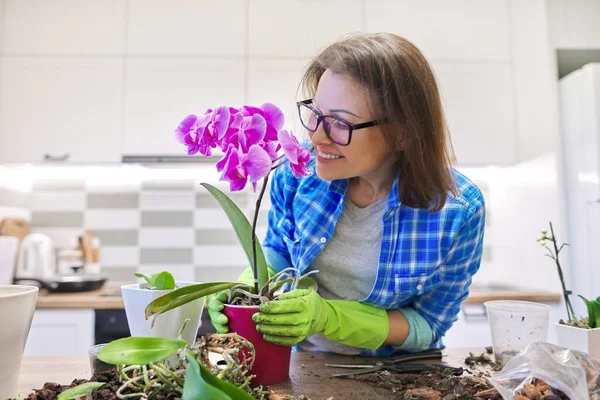 Žena pečující o rostlinu Phalaenopsis orchidej, řezání kořenů, změna půdy — Stock fotografie