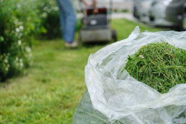 Taze kesilmiş çimenler pakette, arka plan çalışan çim biçme makinesi