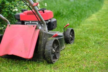 Çim biçme makinesi yeşil çimenlikte çalışıyor.