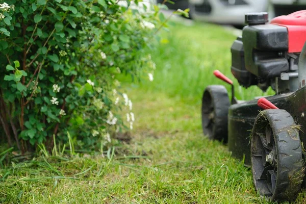 Pemotong rumput bekerja di halaman hijau dengan rumput dipangkas — Stok Foto