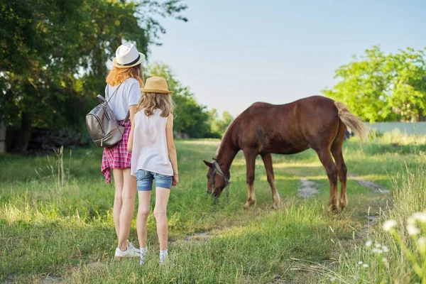 Children Two Girls Photographing Farm Horse Smartphone Rustic Country Style — Stock Photo, Image