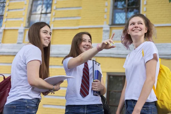 Snakkende Gruppe Med Studentjenter Tenåringsjenter Collegestudenter Nær Mursteinsbygningen Tilbake Til – stockfoto