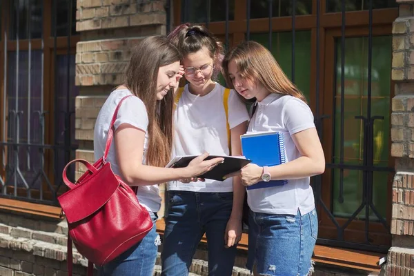 Snakkende Gruppe Med Studentjenter Tenåringsjenter Collegestudenter Nær Mursteinsbygningen Tilbake Til – stockfoto